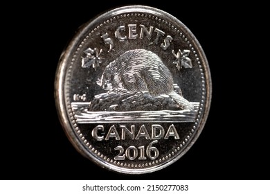 Owen Sound, Ontario - April 27, 2022: Circulated Canadian Nickel Five Cent Coin On A Black Background, Depicting A Beaver.