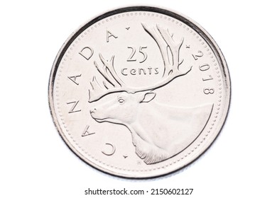 Owen Sound, Ontario - April 27, 2022: Circulated Canadian Quarter Twenty Five Cent Coin On White Background, Depicting Caribou Head. 