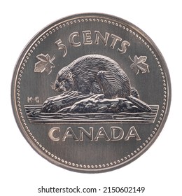 Owen Sound, Ontario - April 27, 2022: Uncirculated Canadian Nickel Five Cent Coin On White Background, Depicting Beaver. 