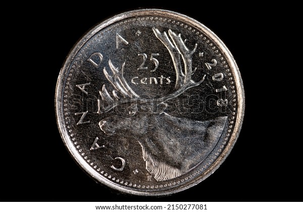 Owen Sound, Ontario - April 27, 2022: Circulated\
Canadian Quarter twenty five cent coin on a black background,\
depicting a caribou bust.