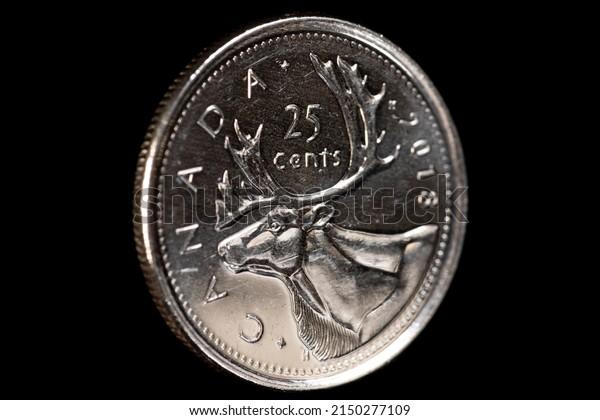 Owen Sound, Ontario - April 27, 2022: Circulated\
Canadian Quarter twenty five cent coin on a black background,\
depicting a caribou bust.