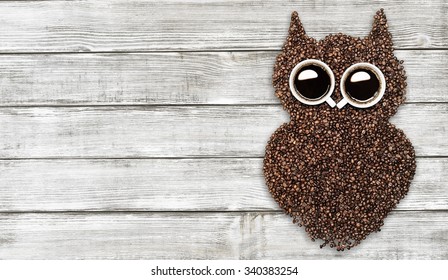 Owl.