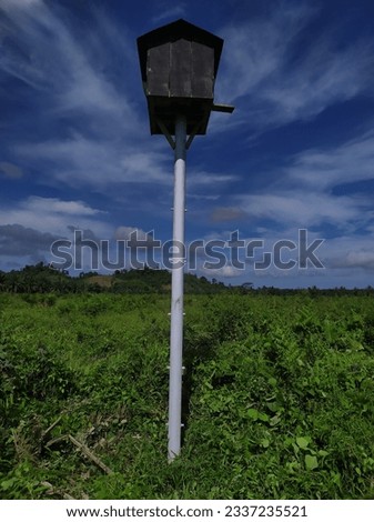 Owl Cage In Plantation Area