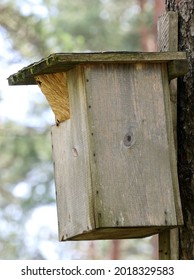 2,531 Owls In A Cage Images, Stock Photos & Vectors | Shutterstock