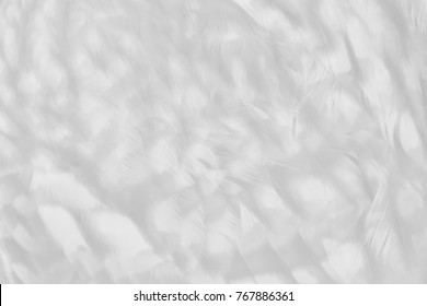 Owl Feather Texture, Faded Black & White Photo Image Of Down Pattern As A Background, Overlay Template For Art Work