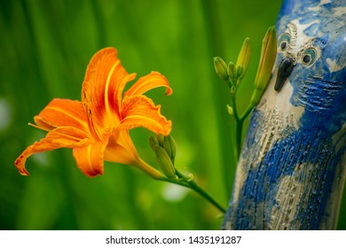 Owl Gets A Lily, Lily Flower With A Ceramics Owl, What A Gift, My Pleasure! Joy