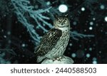 An owl is looking for foods at night time on a tree branch