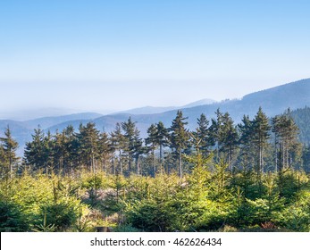 Owl Mountains, Sudetes Poland