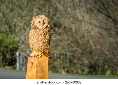 Owl Sculpture / The making of an owl sculpture by a chainsaw sculptor here freshly completed