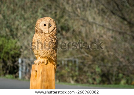 Owl Sculpture / The making of an owl sculpture by a chainsaw sculptor here freshly completed