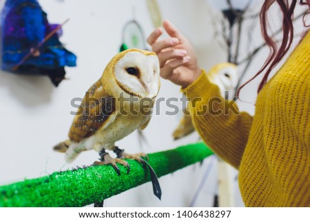 The owl sits on the girl's hand. The woman with the owl.