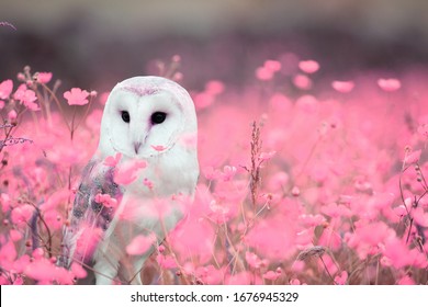 The owl is sitting among the flowers.