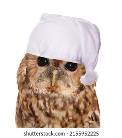 Owl Wearing A Night Cap Isolated On A White Background