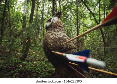 Owl-shaped target with arrows in it standing in the forest near the trees - Powered by Shutterstock