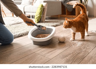 Owner cleaning cat litter box at home