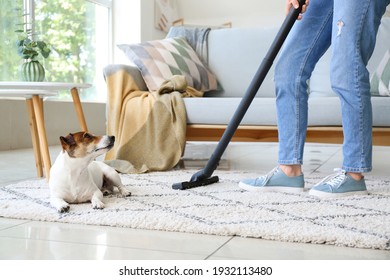 Owner Of Cute Dog Cleaning Carpet At Home