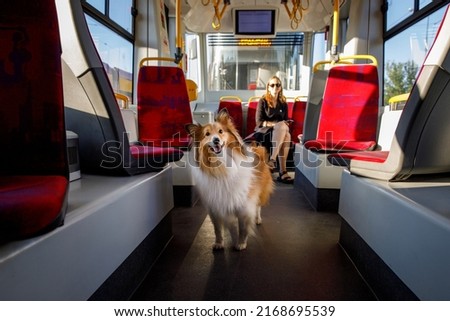 The owner with the dog riding in the city public transport. Sheltie on the subway