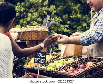 Owner Fresh Grocery Organic Shop Food