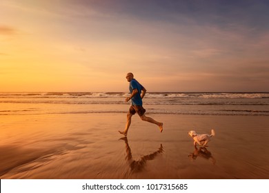 Owner And Maltese Dog Are Running At The Beach In Sunset Time