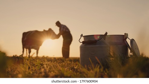 The owner is near his cow at sunset. In the foreground are milk cans
