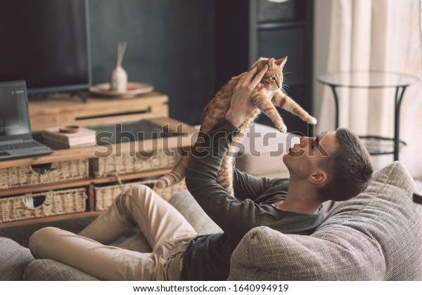 Owner playing with cat while relaxing on modern\
couch in living room interior. Young man resting with pet in soft\
chair at home.