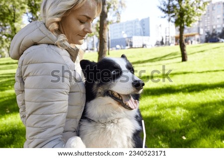 Owner plays with a siberian laika dog in autumn park. Friendship of a dog and a woman