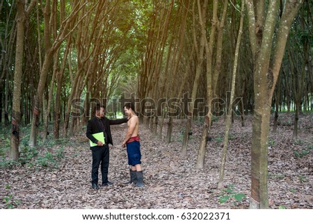 The owner of a rubber plantation with gardeners.
