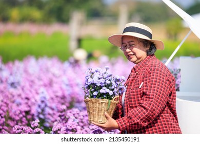 Owner Senior Woman Planting Flowers In Her Garden, 
