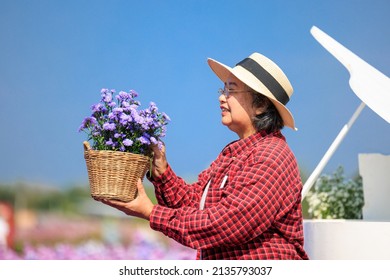 Owner Senior Woman Planting Flowers In Her Garden, 
