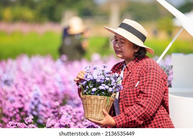 Owner Senior Woman Planting Flowers In Her Garden, 

