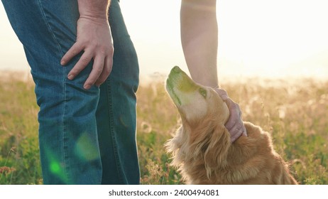 Owner stroking red dog, sunset during hike. Dog get caress from owner. Man strokes dog spaniel with hand, outdoors. Closeup dog sitting next its owner. Concept human animal friendship. Owner loves pet - Powered by Shutterstock