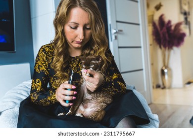 owner taking care of her pet, cutting the sharp claws of Devon rex cat. High quality photo - Shutterstock ID 2311795667