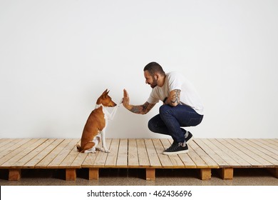 Owner Trains His Dog To Give Hive Five