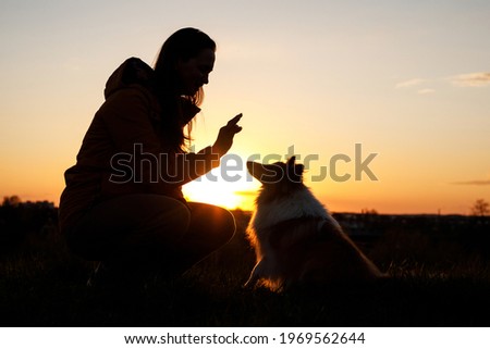 The owner trains his dog. Training obedient during sunset