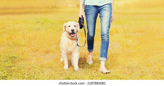 Owner Woman Walking With Her Golden Retriever Dog On Leash In Autumn Park