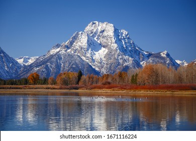 Oxbow Bend Viewpoint On Mt. Moran, Snake River And Its Wildlife During Autumn, Grand Teton National Park, Wyoming, USA