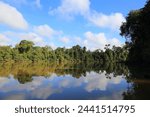 Oxbow lake and rainforest on Kinabatangan River in Sukau in Sandakan Division, in northeastern Sabah, Malaysia.