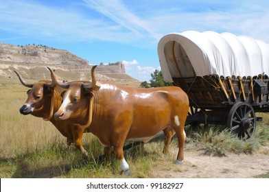 Oxen And Covered Wagon