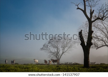 Similar – Image, Stock Photo hang out II Environment