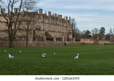 The Oxford Castle