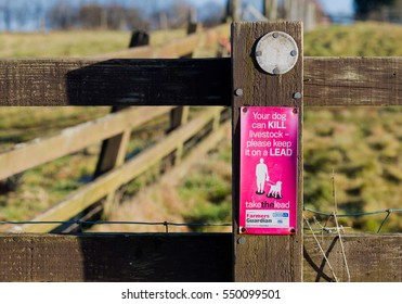 do i have to keep my dog on a lead on a public footpath