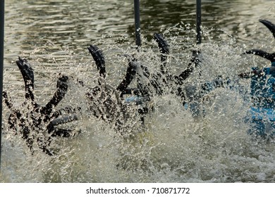 Oxygen machine on surface water for adjustment water quality