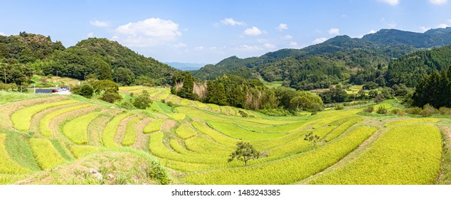 Oyama Senmaida High Res Stock Images Shutterstock