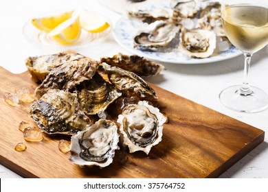 Oyster Bar