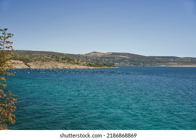 Oyster Farm In Croatia. Suitable Lagoon For Growing Oysters And Mussels