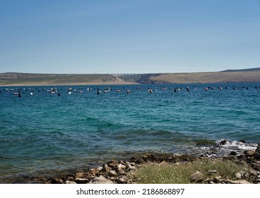 Oyster Farm In Croatia. Suitable Lagoon For Growing Oysters And Mussels