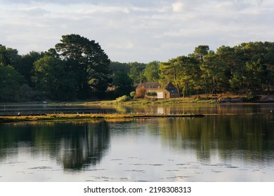 Oyster Farm In The Etel River In Brittany Region 