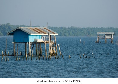 Oyster farm house in the sea.