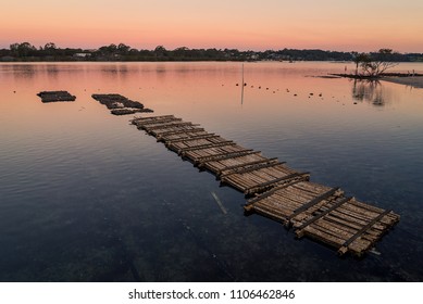 Oyster Farm In An Ocean Inlet At Sunset In Narooma, Australia.