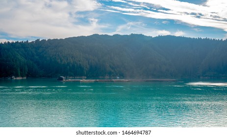 Oyster Farm In Picton, New Zealand